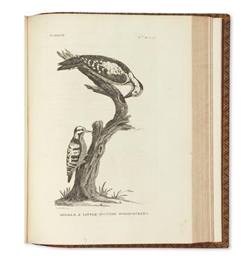 (NATURAL HISTORY.) Pennant, Thomas. British Zoology [with: Genera of Birds].